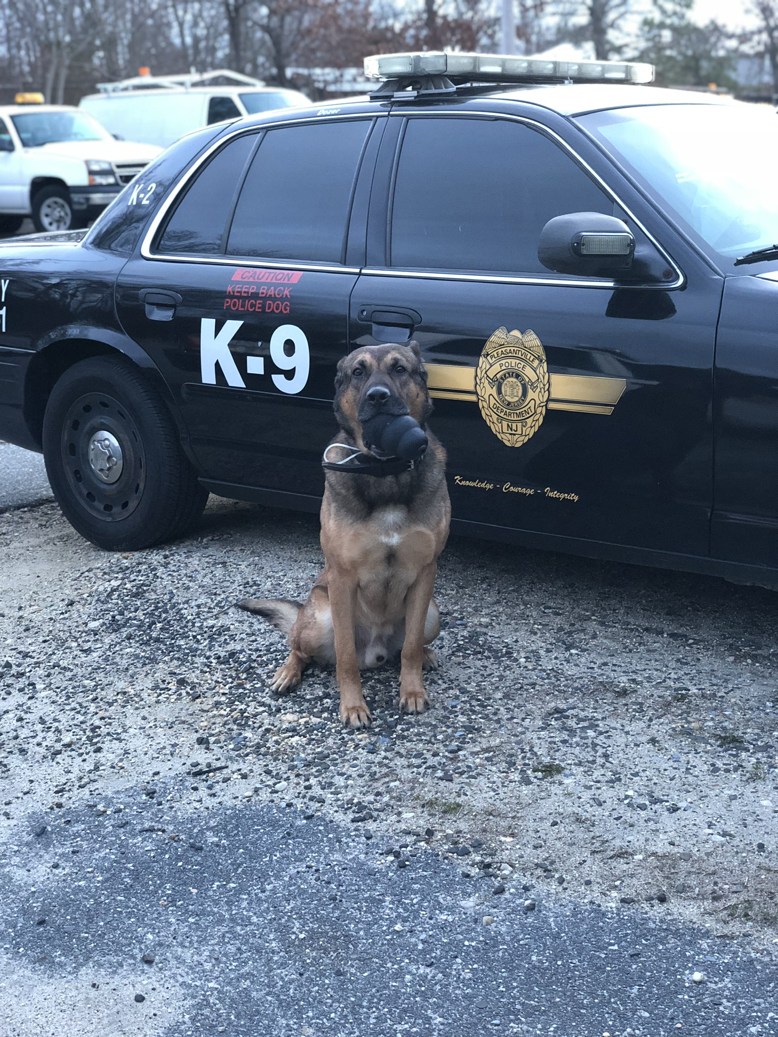 K9 Dozer